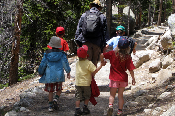 rmnp-6-3-1