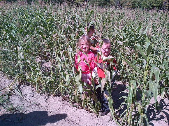 The Kids in the Corn The Kids in the Corn