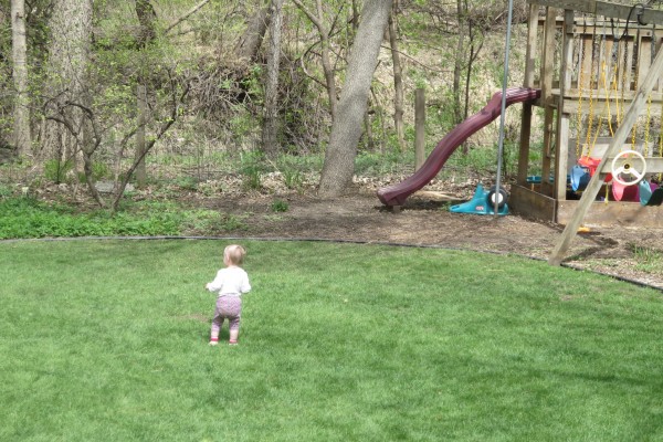 Lucia Exploring The Backyard